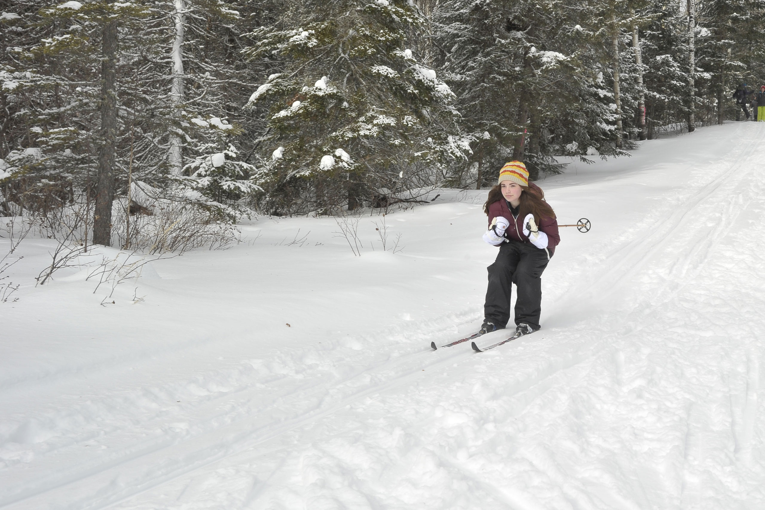 Winter skiing downhill training